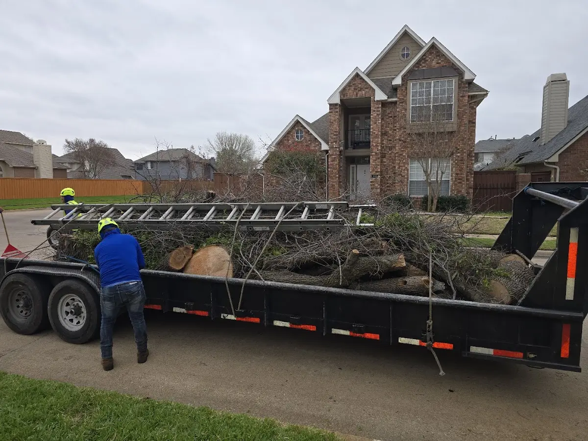 Expert Tree Fertilization with proper safety equipment in Mulino